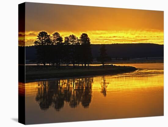 Yellowstone River at Sunrise, Hayden Valley, Yellowstone National Park, USA-Adam Jones-Premier Image Canvas