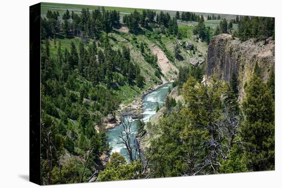 Yellowstone River Picnic Area, Yellowstone National Park, Wyoming, USA-Roddy Scheer-Premier Image Canvas