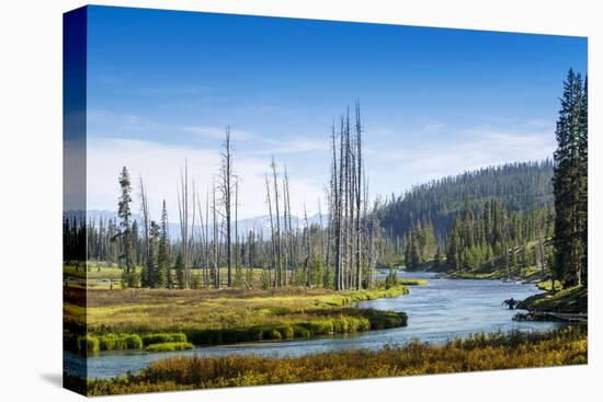 Yellowstone River, Yellowstone National Park, Wyoming, Usa-John Warburton-lee-Premier Image Canvas