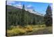 Yellowstone Sbc Landscape-Galloimages Online-Premier Image Canvas