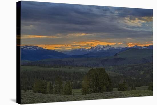 Yellowstone Sunrise-Galloimages Online-Stretched Canvas