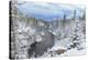 Yellowstone Winter In Fall-Galloimages Online-Premier Image Canvas