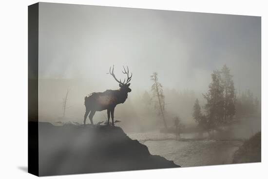 Yellowstone-Gordon Semmens-Premier Image Canvas