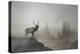 Yellowstone-Gordon Semmens-Premier Image Canvas