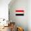 Yemen Flag Design with Wood Patterning - Flags of the World Series-Philippe Hugonnard-Stretched Canvas displayed on a wall