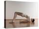 Yoga, Artwork-SCIEPRO-Premier Image Canvas