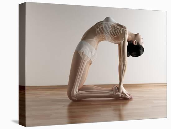 Yoga, Artwork-SCIEPRO-Premier Image Canvas