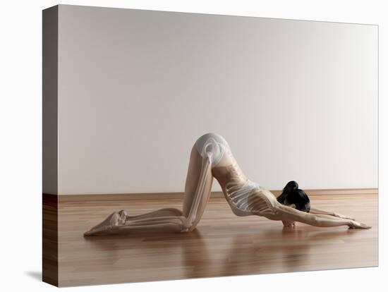 Yoga, Artwork-SCIEPRO-Premier Image Canvas