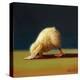 Yoga Chick Downward Dog-Lucia Heffernan-Stretched Canvas