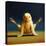 Yoga Chick Firefly-Lucia Heffernan-Stretched Canvas