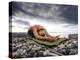 Yoga Position of Child's Pose in Lincoln Park - West Seattle, Washington-Dan Holz-Premier Image Canvas