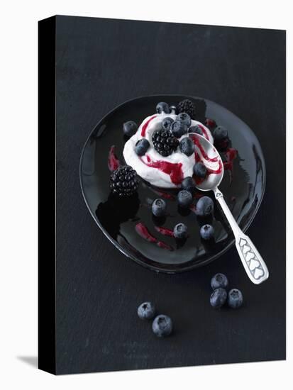 Yogurt Cream with Blueberries and Blackberries-Kai Schwabe-Premier Image Canvas