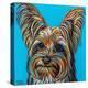 Yorkie on Blue-Carolee Vitaletti-Stretched Canvas