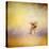 Yorkie Running into the Wind-Jai Johnson-Premier Image Canvas