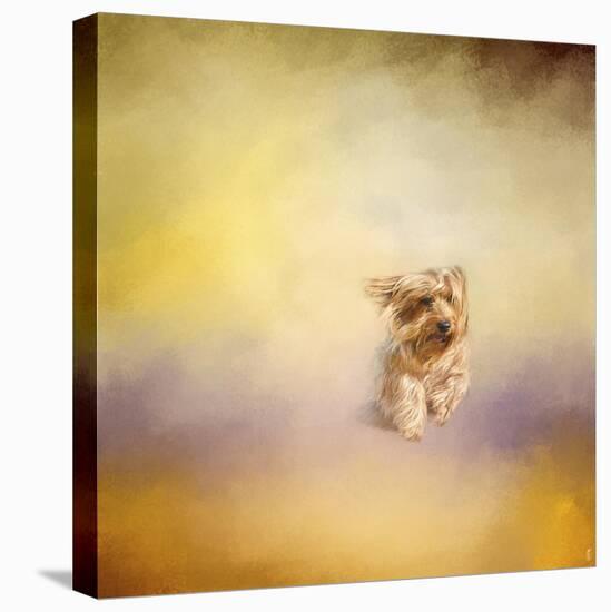 Yorkie Running into the Wind-Jai Johnson-Premier Image Canvas