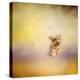 Yorkie Running into the Wind-Jai Johnson-Premier Image Canvas