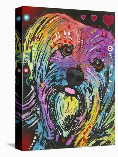 Yorkie-Dean Russo-Premier Image Canvas