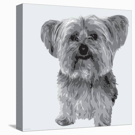 Yorkie-Emily Burrowes-Stretched Canvas