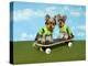 Yorkies On A Skateboard-Blueiris-Premier Image Canvas