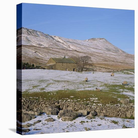 Yorkshire Dales in Winter, North Yorkshire, England, United Kingdom, Europe-Roy Rainford-Premier Image Canvas