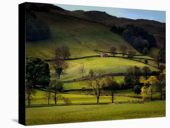 Yorkshire Dales Spring-Jody Miller-Premier Image Canvas