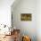 Yorkshire Terrier, Italian Greyhound and Pug-Vero Shaw-Stretched Canvas displayed on a wall