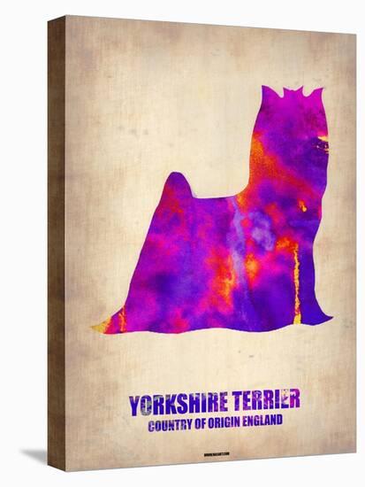 Yorkshire Terrier Poster-NaxArt-Stretched Canvas