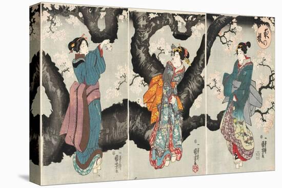 Yoru No Sakura [Cherry Blossoms at Night], C.1846 (Woodblock Print)-Utagawa Kuniyoshi-Premier Image Canvas