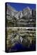 Yosemite Falls and Reflection in Merced River-Doug Meek-Premier Image Canvas
