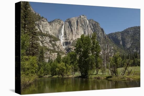 Yosemite Falls in Spring-Richard T Nowitz-Premier Image Canvas