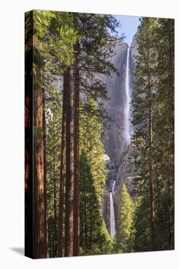 Yosemite Falls through the conifer woodlands of Yosemite Valley, California, USA. Spring (June) 201-Adam Burton-Premier Image Canvas