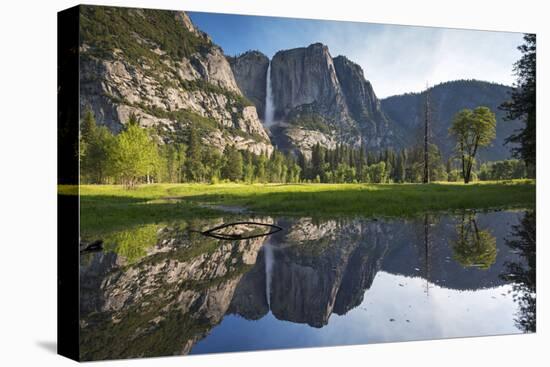 Yosemite Falls viewed across a Yosemite Valley meadow, California, USA. Spring (June) 2016.-Adam Burton-Premier Image Canvas