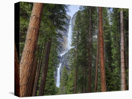 Yosemite Falls, Yosemite National Park, California, Usa-Jamie & Judy Wild-Premier Image Canvas