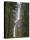 Yosemite Falls, Yosemite National Park, California, Usa-Jamie & Judy Wild-Premier Image Canvas