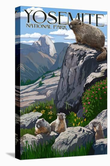Yosemite National Park, California - Marmots-Lantern Press-Stretched Canvas