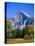 Yosemite National Park, Half Dome and Autumn Leaves, California, USA-Steve Vidler-Premier Image Canvas