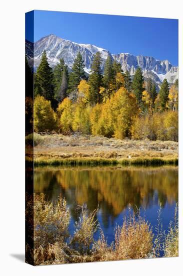 Yosemite's Mount Dana as Seen from Lee Vining Canyon in the Sierras-John Alves-Premier Image Canvas