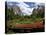 Yosemite Valley-Philippe Sainte-Laudy-Premier Image Canvas