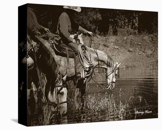 You Can Lead a Horse to Water-Barry Hart-Stretched Canvas