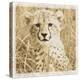 Young Africa Cheetah-Susann Parker-Premier Image Canvas