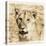 Young Africa Lion-Susann Parker-Premier Image Canvas