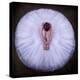 Young Ballerina-Pauline Pentony Ba-Premier Image Canvas