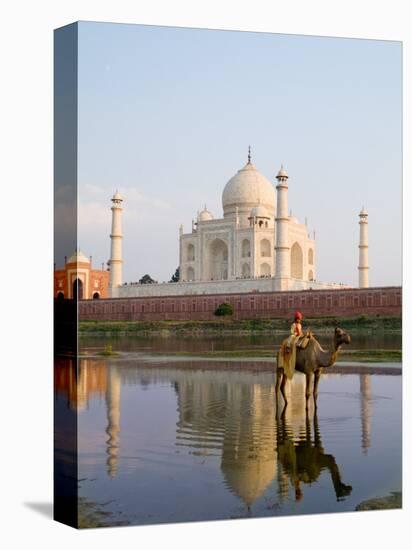 Young Boy on Camel, Taj Mahal Temple Burial Site at Sunset, Agra, India-Bill Bachmann-Premier Image Canvas