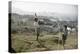 Young Boys Flying Kites in Durban, Africa 1960-Grey Villet-Premier Image Canvas