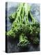 Young Broccoli-David Cleveland-Premier Image Canvas