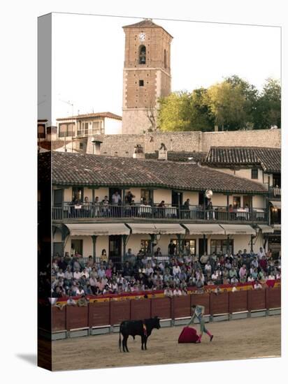 Young Bulls in the Main Square Used as the Plaza De Toros, Chinchon, Comunidad De Madrid, Spain-Marco Cristofori-Premier Image Canvas