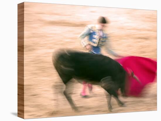 Young Bulls in the Main Square Used as the Plaza De Toros, Chinchon, Comunidad De Madrid, Spain-Marco Cristofori-Premier Image Canvas