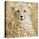 Young Cheetah-Susann Parker-Stretched Canvas