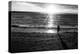 Young Child Alone on Beach-Sharon Wish-Premier Image Canvas