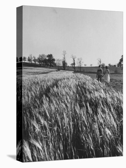 Young Couple Walking by a Grain Field-Ed Clark-Premier Image Canvas